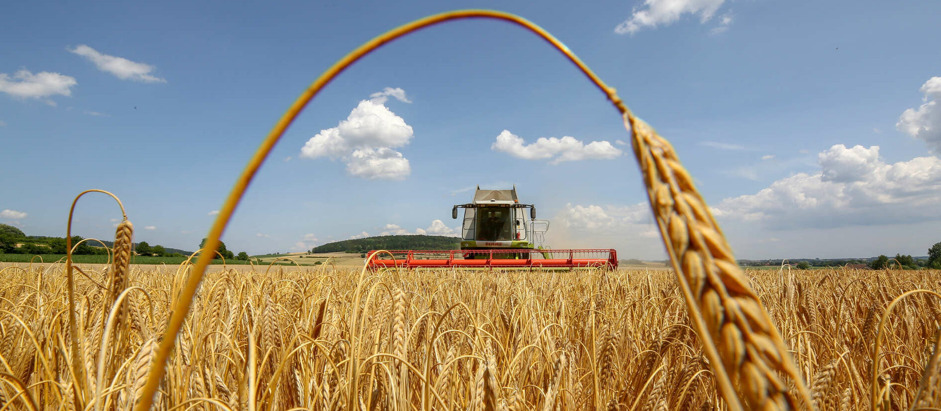Österreichs Politik will die heimische Landwirtschaft stärken.