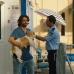 „Smuggling Hendrix“ — ein Hund zwischen den Grenzen zeigt auf, wie absurd eine geteilte Welt sein kann. Ein Film wie gemacht fürs Sommerkino.