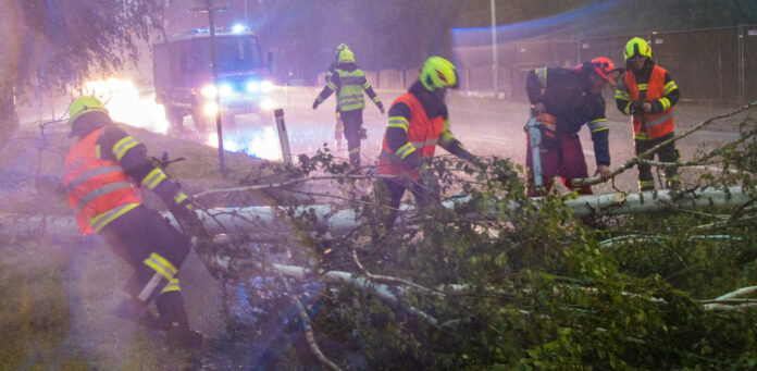 Umgestürzte Bäume richteten großen Schaden an und mussten von den Feuerwehren noch während des Unwetters von Straßen entfernt werden.