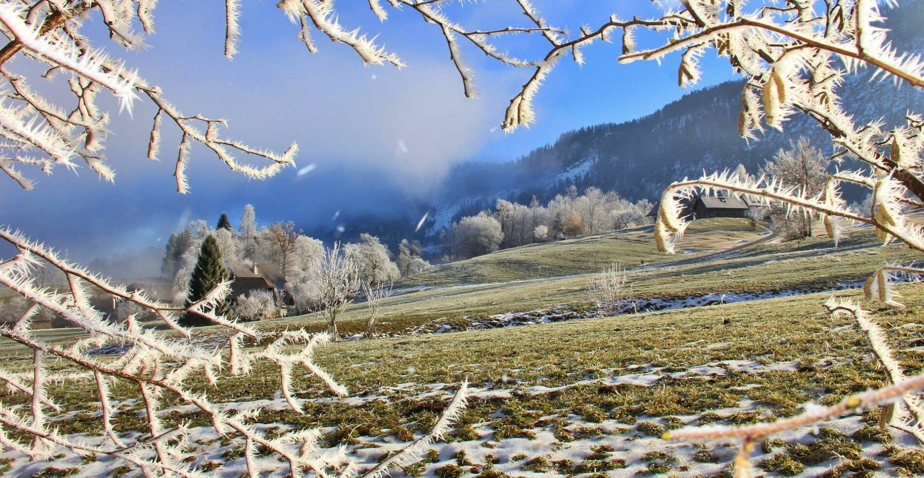 Raureif als Schnee-Ersatz lässt derzeit im Wolfgangsee-Gebiet zumindest ansatzweise Winterstimmung aufkommen.