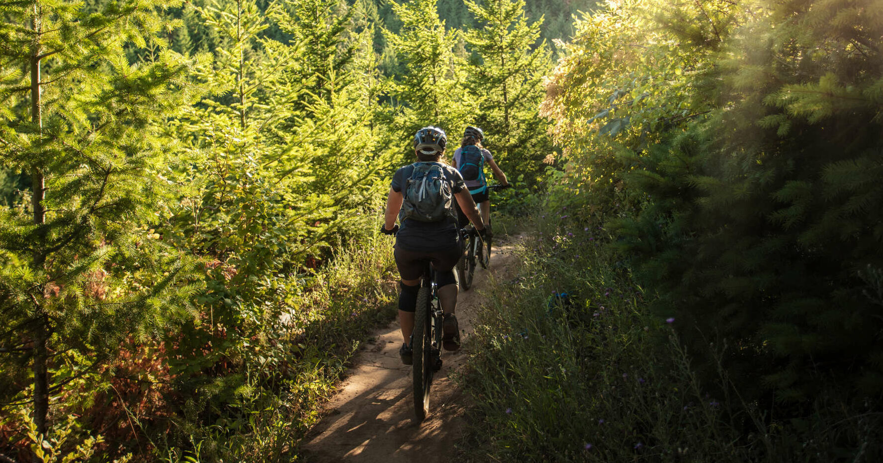 Seit dem Beginn der Pandemie ist das Aufkommen von Mountainbikern in den Wäldern stark angestiegen.