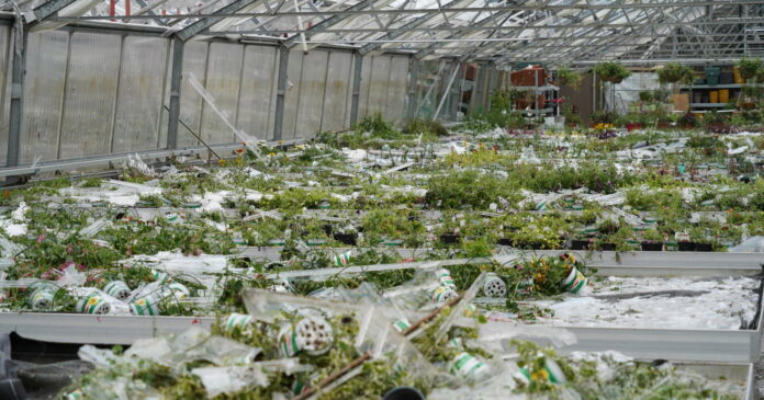 Auch zahlreiche Glashäuser in Oberösterreich wurden durch die Hagelunwetter zerstört.