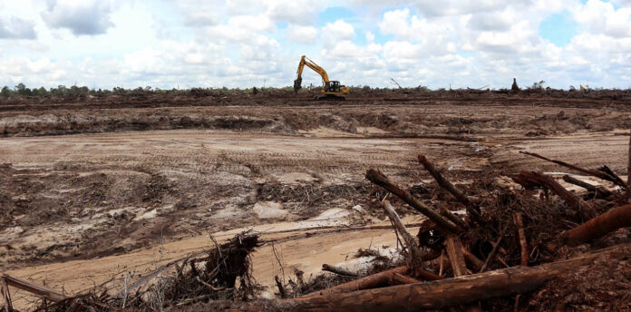 Wälder binden klimaschädliches CO2, fallen aber immer wieder geplanten Rodungen (links: Indonesien) oder illegalen Brandrodungen (oben: Brasilien) zum Opfer.