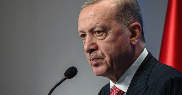 Kein Freund erprobter Wirtschaftstheorien und hoher Leitzinssätze: der türkische Präsident Erdogan.