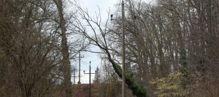 In Edt bei Lambach musste ebenfalls ein umgestürzter Baum aus einer Stromleitung entfernt werden.