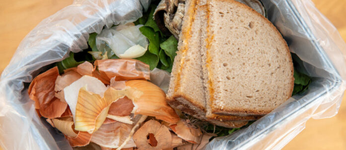 Çoğu zaman yiyecekler, arkasındaki değeri ve emeği görmeden çöpe atılır.
