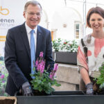 Bienenfreundliche Pflanze im Arkadenhof: LH Stelzer und LR Langer-Weninger legen beim Pflanzen mit Hand an.