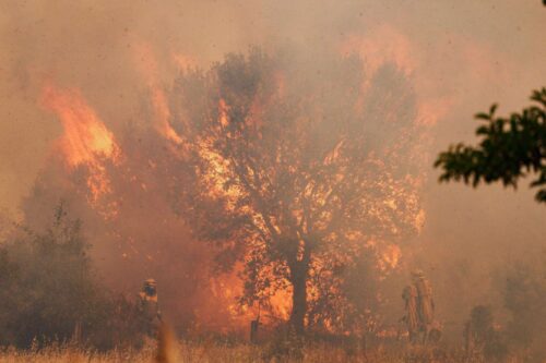 Ein Flammenmeer in Pumarejo de Tera nahe Zamora in Spanien.