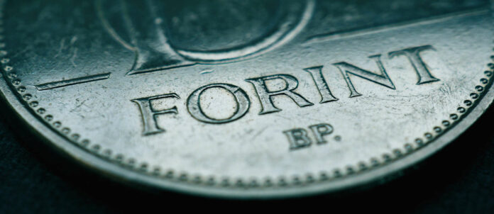 Wertet gegenüber dem Euro weiter ab: der Forint.