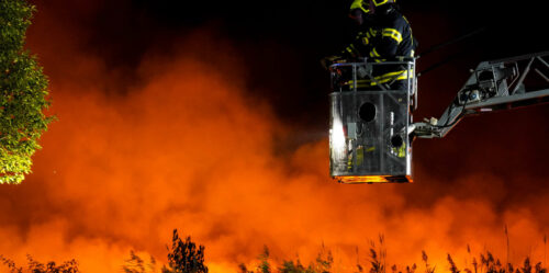 ++ HANDOUT ++ BURGENLAND: FEUERWEHR-GROSSEINSATZ BEI SCHILFB