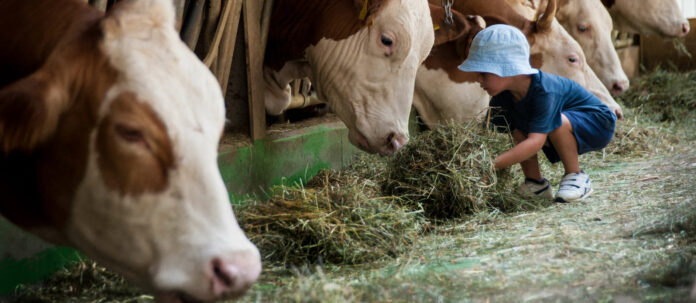 80 Prozent der Milchproduktion erfolgt in Berg- und benachteiligten Gebieten unter strengen Umwelt- und Tierschutzstandards.
