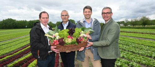 Sind in Sorge um den österreichischen Produktionsstandort für Obst und Gemüse (v. l.): LK Österreich-Präsident Josef Moosbrugger, der Obmann des Österreichischen Branchenverbands für Obst und Gemüse, Manfred Kohlfürst, Wolfgang Ziniel (KMU Forschung Austria) und LK OÖ-Präsident Franz Waldenberger bei einer Feldbesichtigung im Raum Eferding.