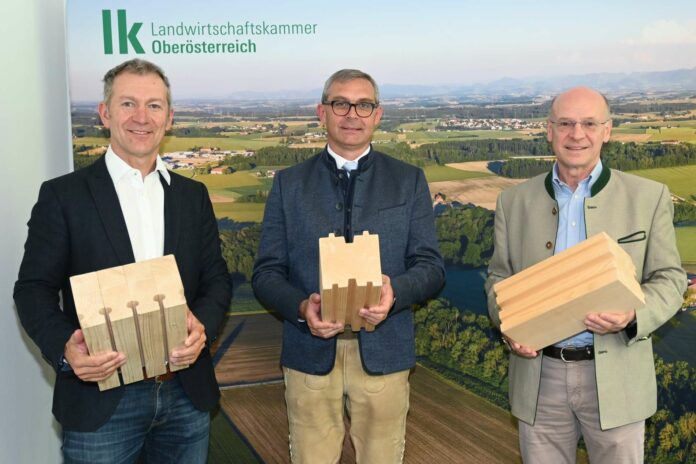 Ahşaptan gurur duyanlar (soldan): Reisecker, Waldenberger ve Ernst Kastner (Smurfit Kappa Nettingsdorf)