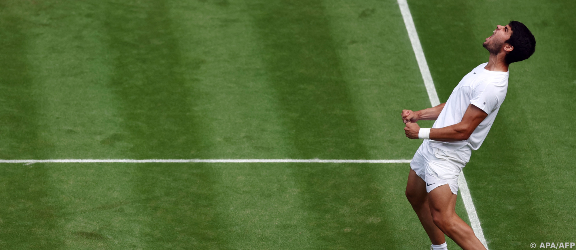 Alcaraz und Medwedew erstmals im Wimbledon-Halbfinale