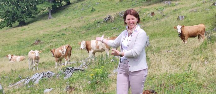 Agrar-Landesrätin Michaela Langer-Weninger: „Die Almwirtschaft ist ein wesentlicher Faktor bei der Versorgungssicherheit. Im September kehren die Rinder von der Alm in die Heimbetriebe retour.“