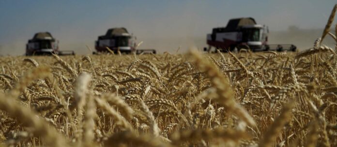 Landwirtschaftsminister Norbert Totschnig (kl. Bild) unterstützt die Bemühungen der Türkei und der internationalen Gemeinschaft, das Getreideabkommen zu retten. Putin sagt „Njet“.