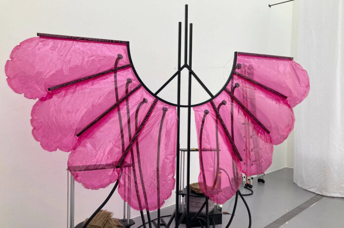 Das Projekt „Pulmo-Pneu“ mit rosa Flügel