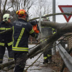 Sturmtief „Zoltan“ hatte auch der Welser Feuerwehr jede Menge Arbeit beschert.