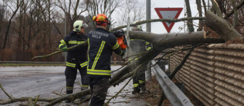 Sturmtief „Zoltan“ hatte auch der Welser Feuerwehr jede Menge Arbeit beschert.