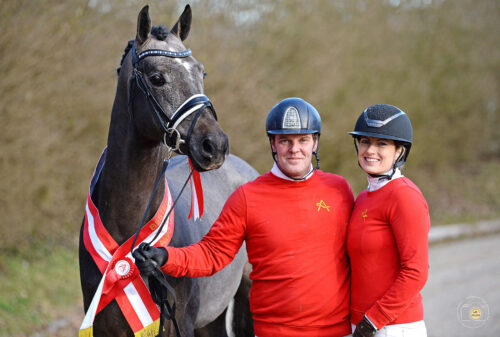 Der beste österreichische Hengst & Reservesieger Springlot: Cinedine (*4/6/2020) AWÖ v. Cayado a. d. Jacaranda n. Classic, Z.: Christian Großholzner, B.: Bruno Wurzinger.