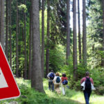 Schild mit Zeckenwarnung in gefhrdetem Gebiet im Wald