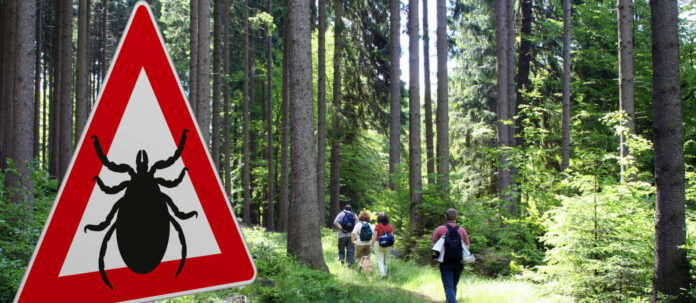 Schild mit Zeckenwarnung in gefhrdetem Gebiet im Wald