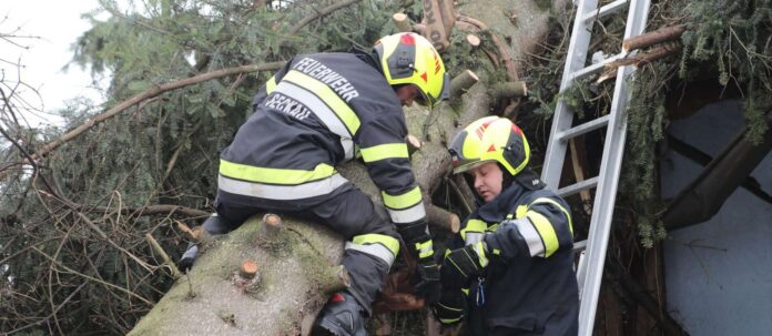 ++ HANDOUT ++ STEIERMARK: AUFRUMARBEITEN NACH STURM IN KNIT