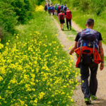 Pilgrims walking on the path to San Gimignano trough woods a