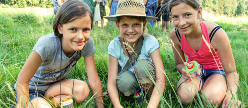 Klimafüchse im Naturpark Mühlviertel