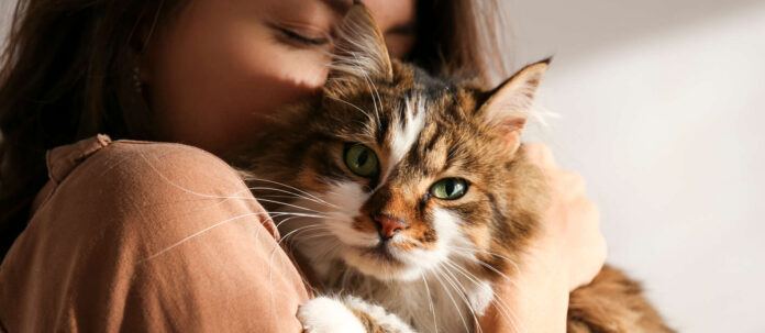 Portrait of young woman holding cute siberian cat with green