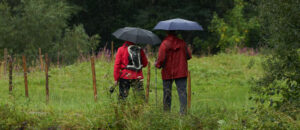 Ehepaar mit Regenschirmen bei einem Spaziergang im Regen dur