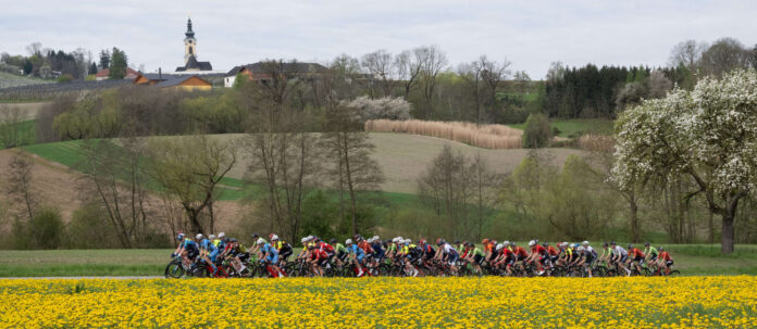 Malerische Kulissen und hochklassiger Radsport warten wieder beim Kirschblütenrennen rund um Wels
