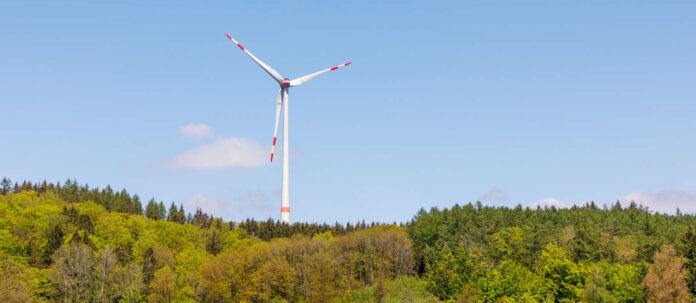 wind turbine in the forest