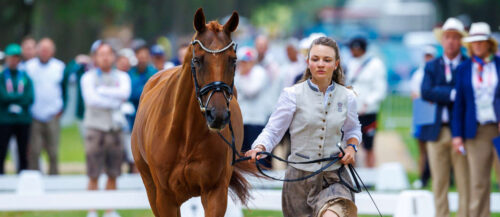 Nicht fit für die Paris-Spiele zeigte sich Lea Siegls Pferd, auch Christian Schumach hat tierische Sorgen
