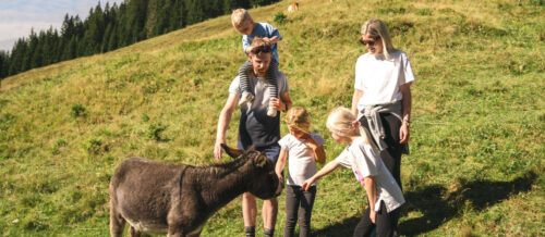 Familienfreundlichkeit wird im Hotel Hasenauer in Hinterglemm groß geschrieben. Von hier aus lässt sich die Bergwelt rundum wunderbar erlebnisreich erkunden.