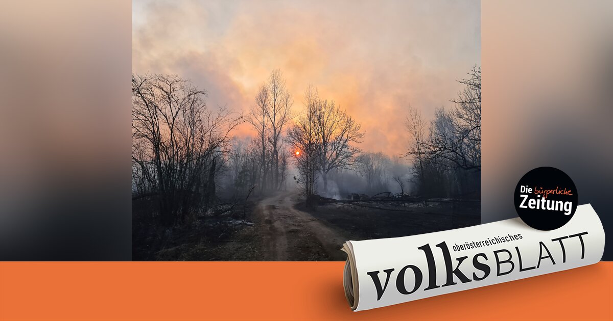 Keine Kontrolle über Waldbrände bei Tschernobyl