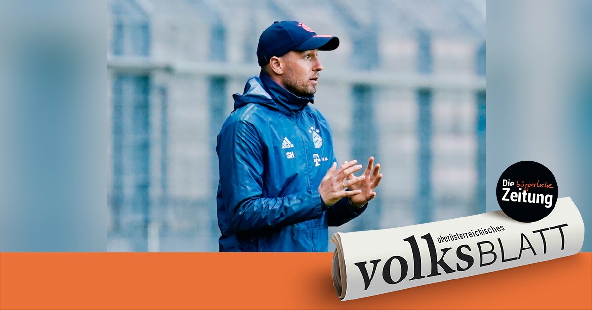 Hoffenheim Neuer Trainer